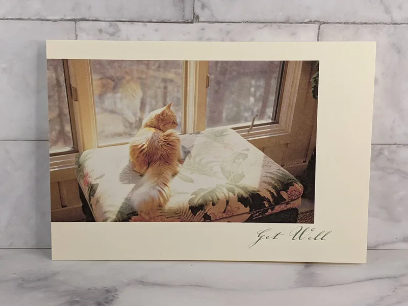 God's Healing Presence