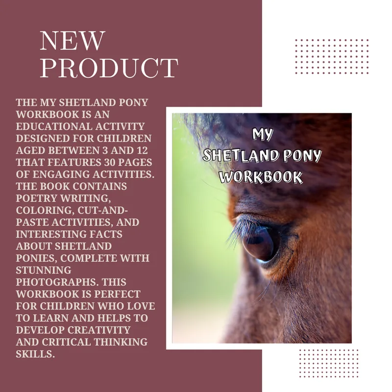 My Shetland Pony Workbook