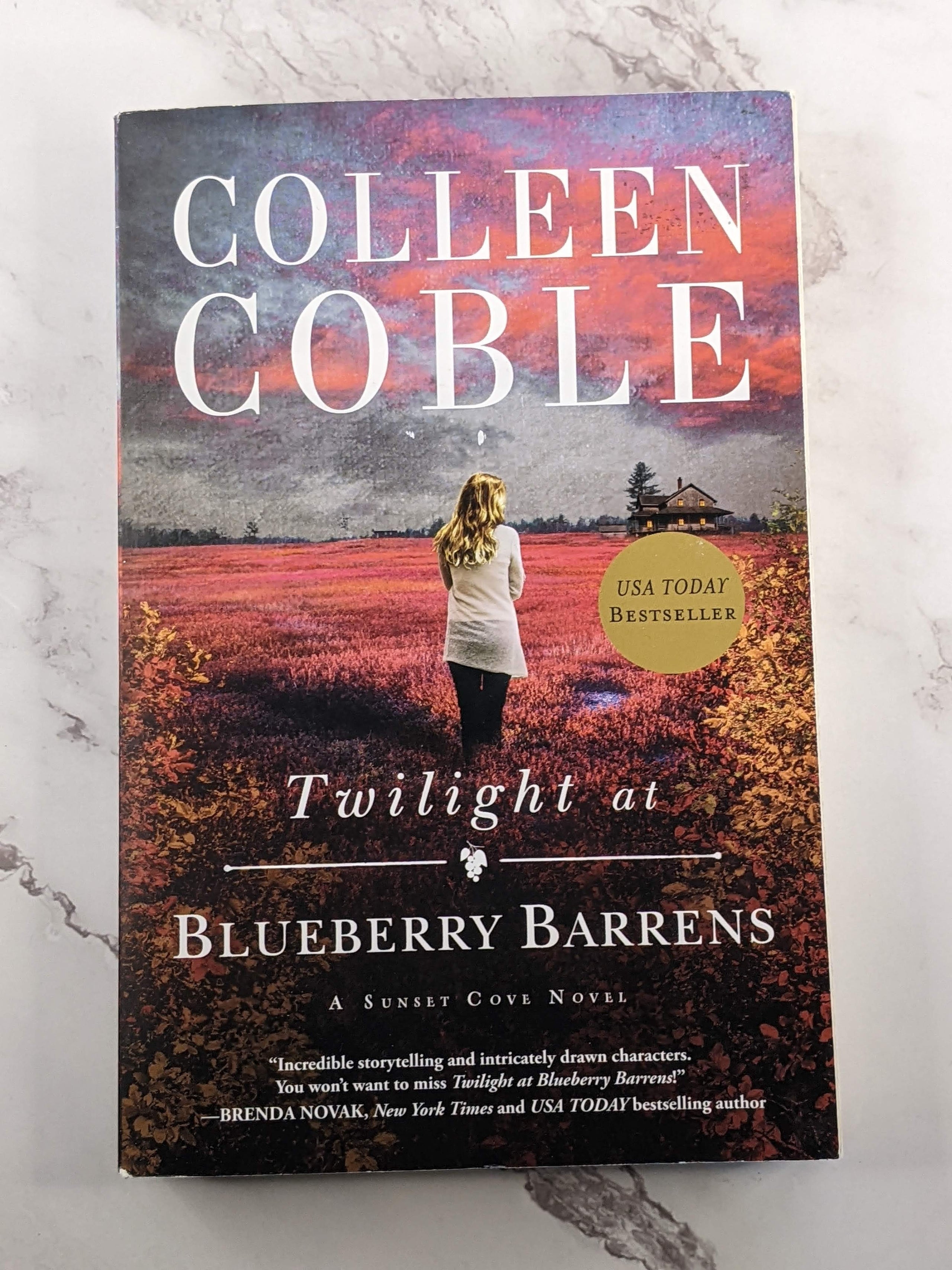 Twilight at Blueberry Barrens (USED)