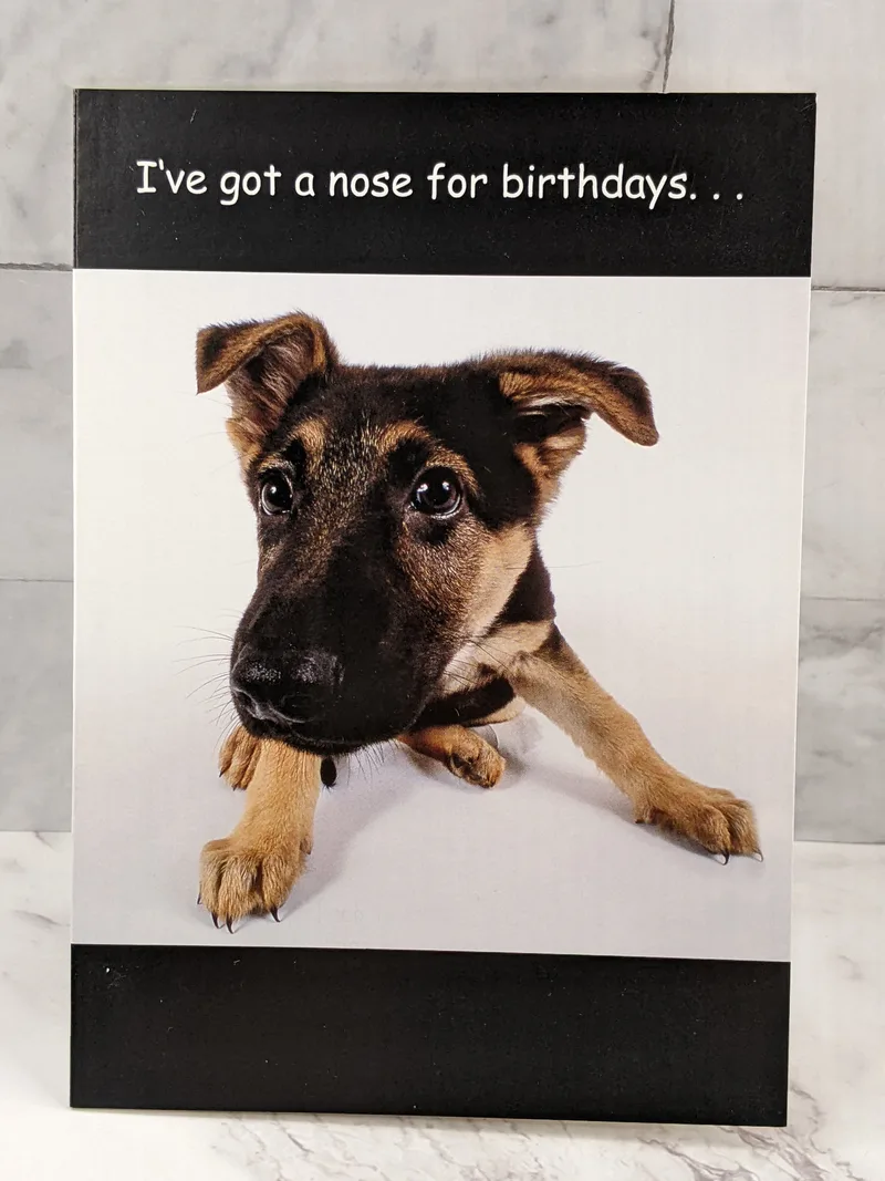 Nose for Birthdays