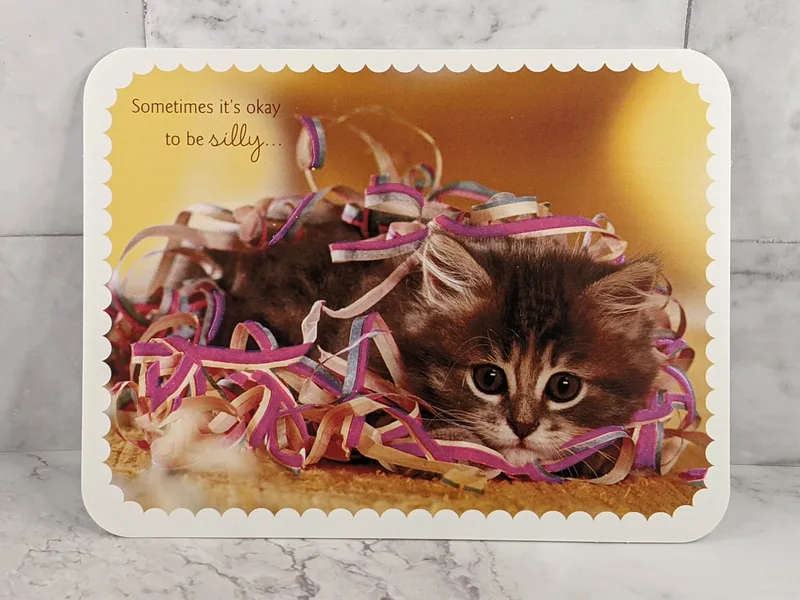 Silly Birthday Girl (cat)