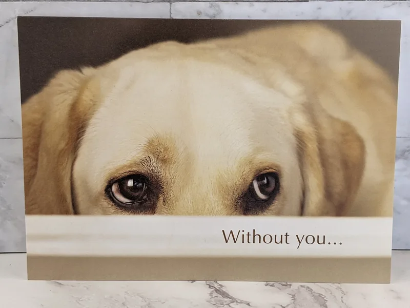 Without You - Miss You Card