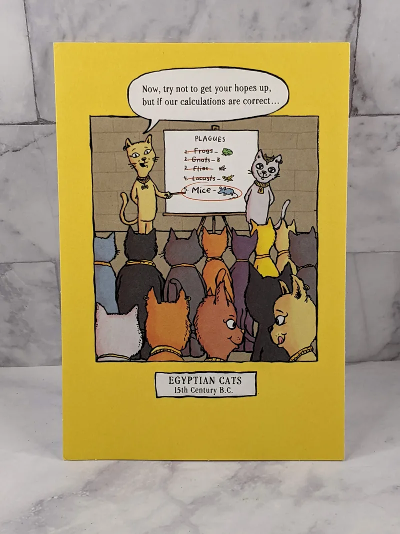 Celebration Overdue Belated Birthday Card