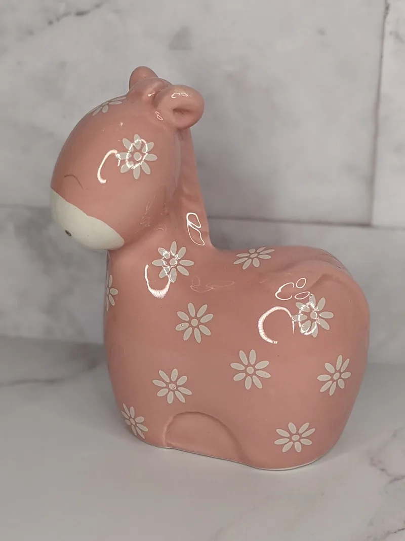 Pink Coin Bank (Imperfect Box)