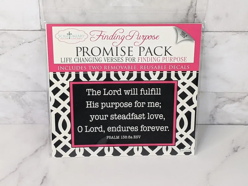 Promise Pack of 2 Scripture Decals