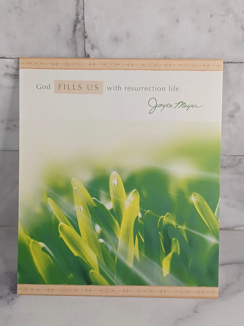 Resurrection Brings Comfort