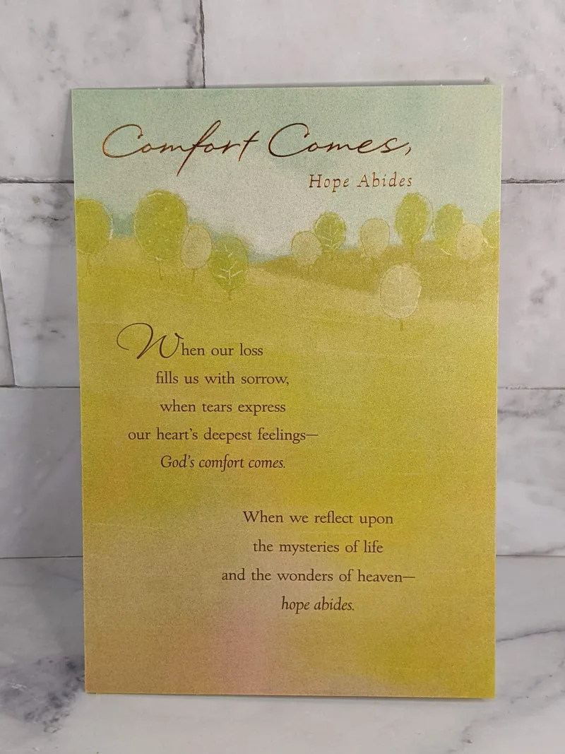 Comfort Comes Hope Abides