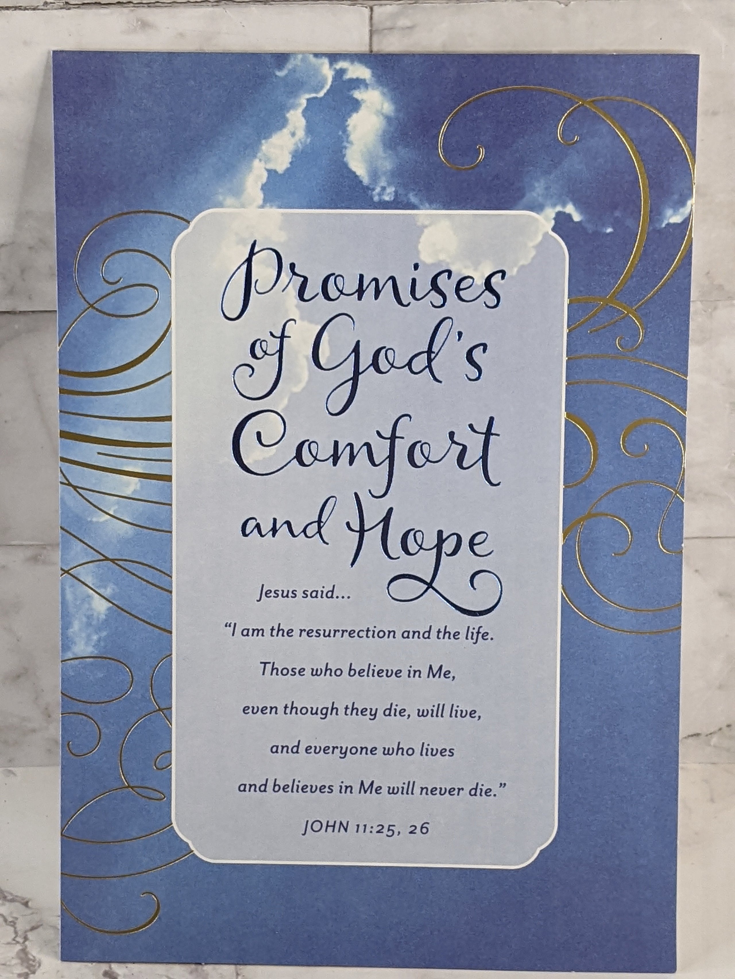 Comfort And Hope - Biglietti Di Condoglianze Con Versetti Biblici NLT, Confezione Da 12 (4 Disegni X 3), Con Buste